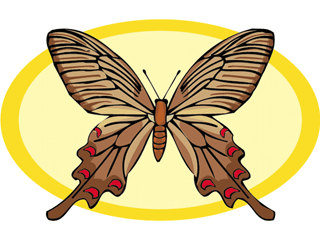 butterfly3anim.gif