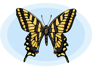 butterfly4.gif