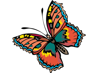butterfly48.gif