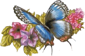 butterfly8t3un.gif