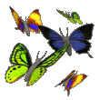 vlinders18anim.gif