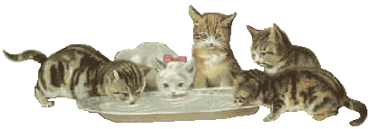 5KITTENS.gif