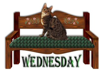 cat2020wednesday6gk.jpg