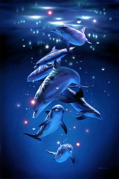 dolfijn2010.jpg