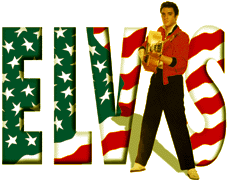 elvisname.gif