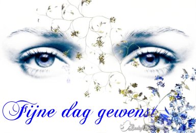 blueeyes25252Dfijnedag.jpg