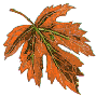 Leaf.gif