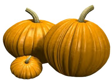 Plump25252520Pumpkins2525257ELJT.jpg