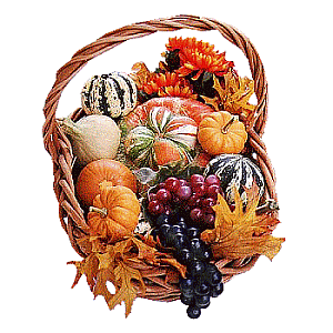 fall2520basket2520trans.gif