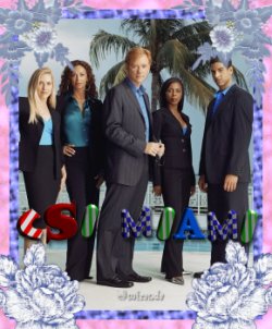 csimiami.jpg