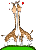 th_giraffe_003.gif