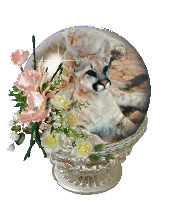 Dierenglobes2www-animaatjes-nl.gif