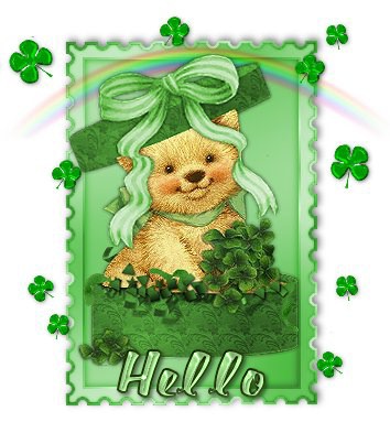 Hello_STPatsBearInBox_Lavender.jpg