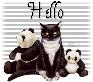 Hello_kittypanda_HA4.jpg