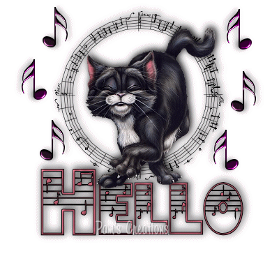 helloemusiccat.gif
