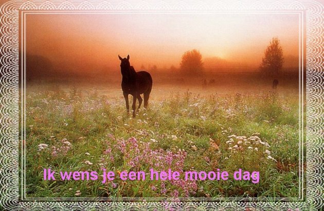 mooiedag.jpg