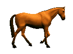 paard21.gif