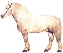 pferd32.gif