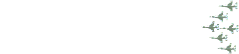 19.gif
