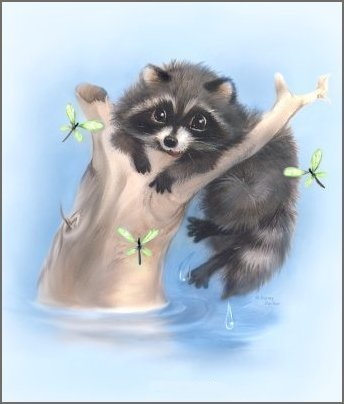 LilRacoon.jpg