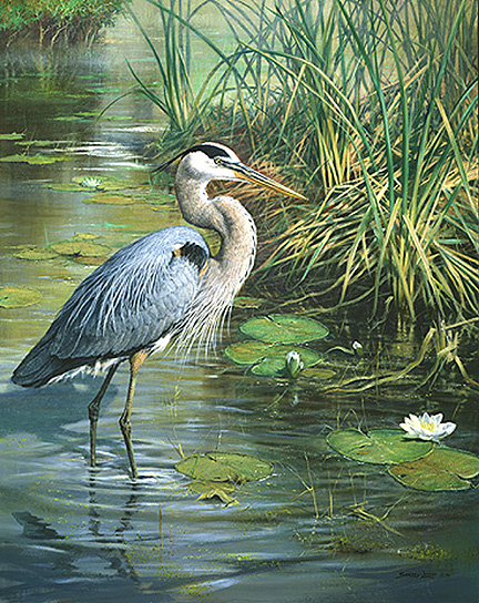 lone20fishermanheron.jpg