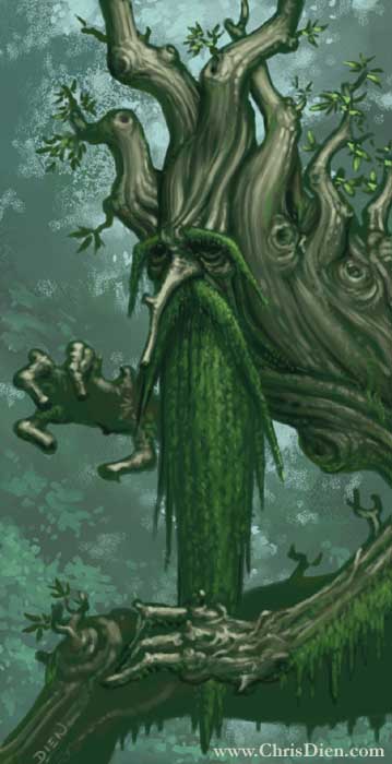 Treebeard.jpg