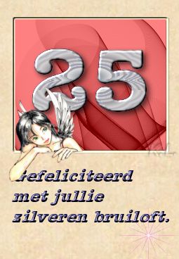 Huwelijk-zilvere-25.jpg