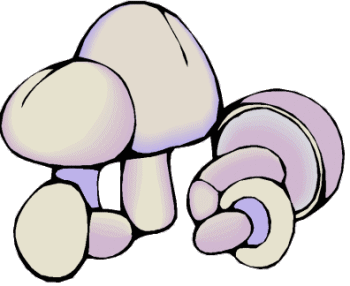 champignon2.png