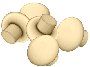 champignon4.png