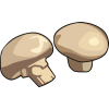 champignon7.png