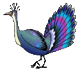 pfau1.gif