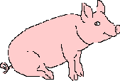 Pigs__Pig_2_prv.gif