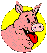 Pigs__Pig_in_circle_prv.gif