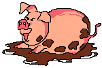 chinesepig3.gif