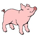 cochon15.gif