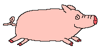oink12.gif