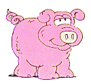 pig14.gif