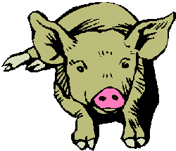 pig23.gif