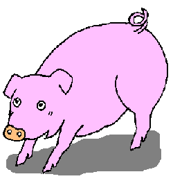 pig4_color.gif