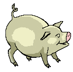 pig7.gif