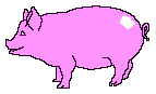 piggie6.gif