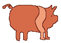 piggy4.gif