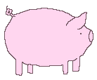 piglet1.gif