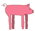 piglet4.gif