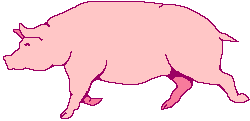 porkie6.gif