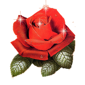 rose1.gif