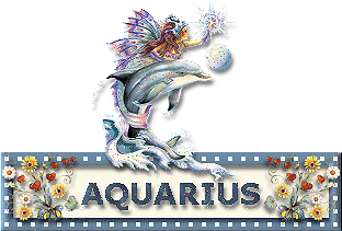 Aquarius-LMG1.gif