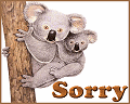 t-sorrykoala.gif