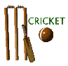 cricket23.gif