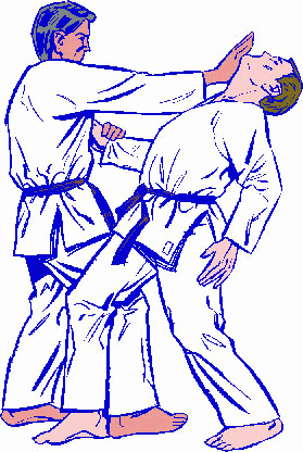 jiu_jitsu12.gif